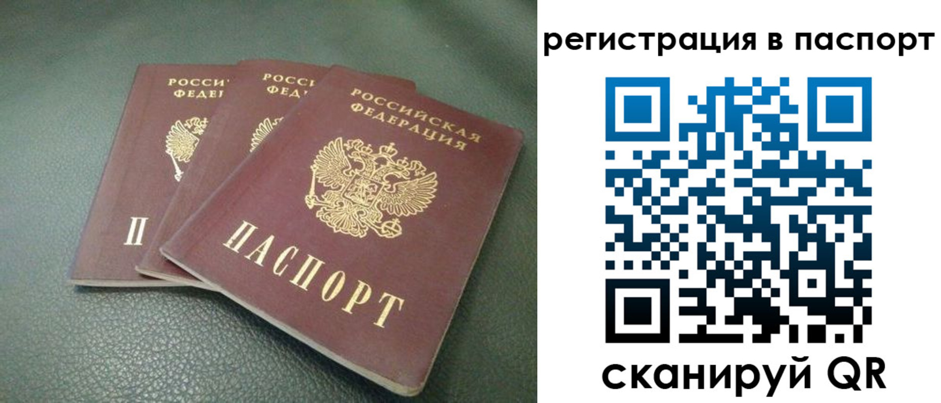 временная регистрация надежно в Дмитрове